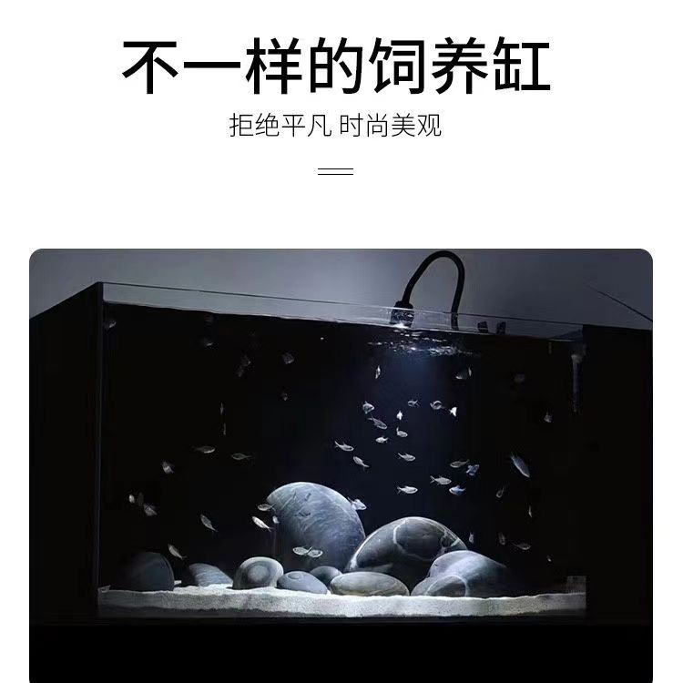 佛鳄龟压克力发色缸虎纹巨头窄桥蛋龟龟苗黑白发色盒家用乌龟鱼缸