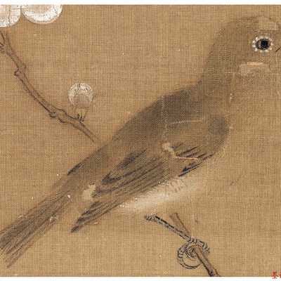 北宋赵佶梅花秀眼图工笔花鸟宋画小品高清微喷复制底稿画山水国画