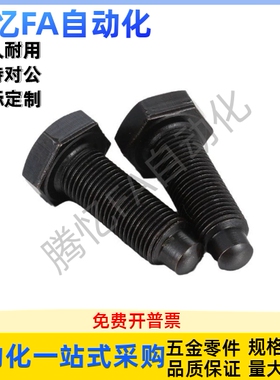 螺纹前端R型定位螺栓PBE21-M4 5 6 8 10 12 16-L40 50 60 70 80