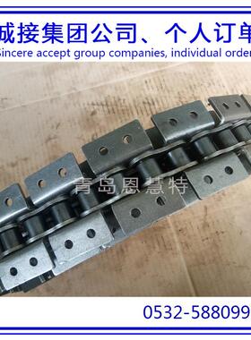 DBC东宝防锈滚子100-1 120-2 140-3 160-1工业流水线链条08