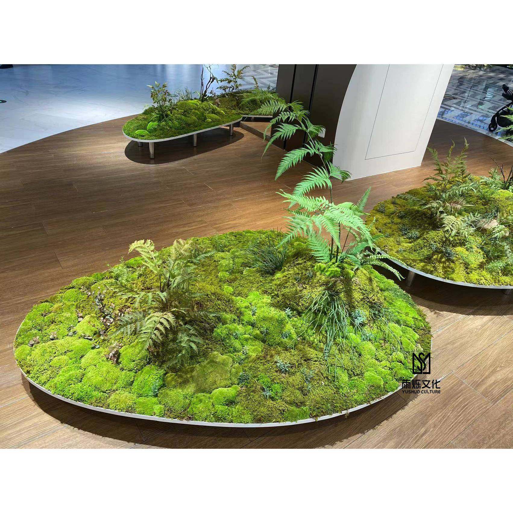 仿真苔藓永生苔藓块干花青苔盆景植物造型美陈室内装饰客厅摆设,3C数码配件,其它配件,淘宝优惠券,粉丝福利购,淘宝优惠卷