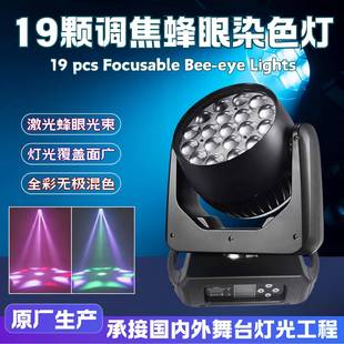 19颗15W蜂眼调焦染色灯酒吧KTV旋转LED氛围光束摇头舞台灯峰眼灯