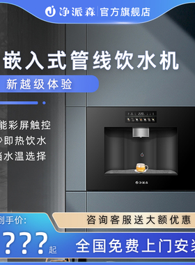 净派森嵌入式管线机家用净水器一体饮水机直饮机瞬热净饮机2023新