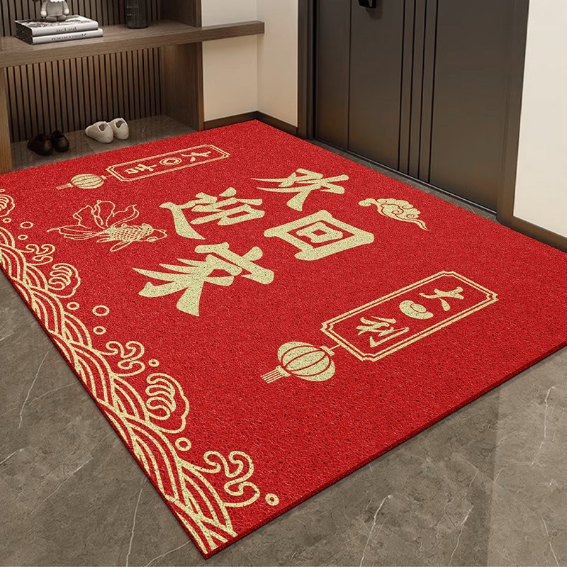 入户门垫大门进门高级感地毯2024新款蹭土可擦免洗防滑门口地垫