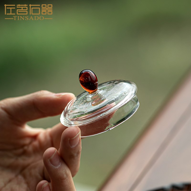 左茗右器耐热玻璃壶女士一人饮绿茶专用泡茶壶创意提梁壶小号中式