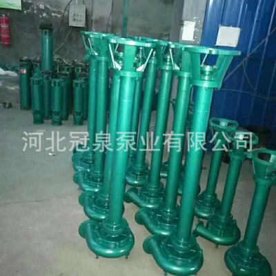 厂WYD家直销立式长杆泵高扬塞程无轴堵排污泵