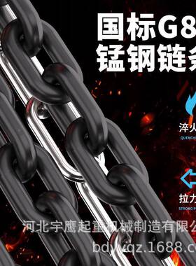 起进口东洋TOYOd承g手拉葫芦轴倒链手动1/2/XOS3/5吨三角重m吊葫