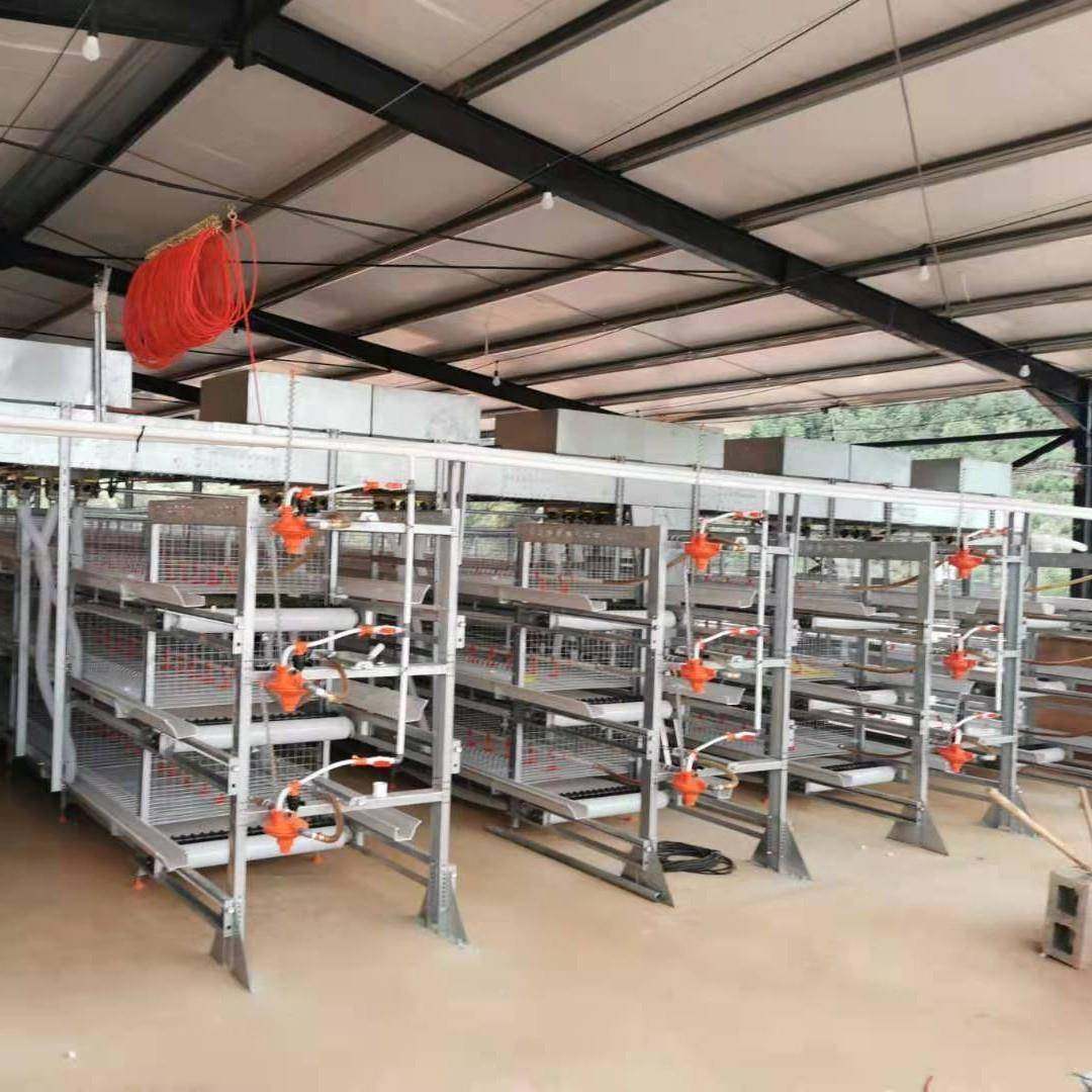 框架肉鸡笼全自动蛋立式热镀锌丝鸡笼自捡动化清粪养鸡养殖MYN设