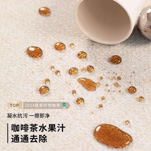 毯客厅卧室FLI加打厚新款床边房间免理地奶沙油风防水防污发茶几