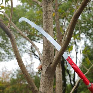 ARS多功伸缩高园枝锯林果树修长剪加杆树枝IPA高空锯子能剪园林修