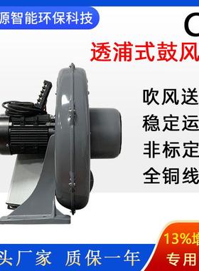 直流无透浦式21687鼓风机吹鼓风送风中压风送机气体输蒸汽传刷输风机