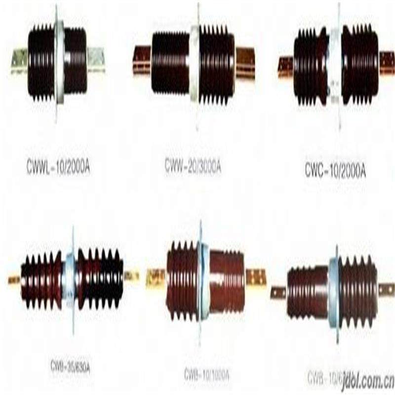 CW5W-20/315L0CWWL-1RIM0/20-4-G瓷厂穿墙套管家直供