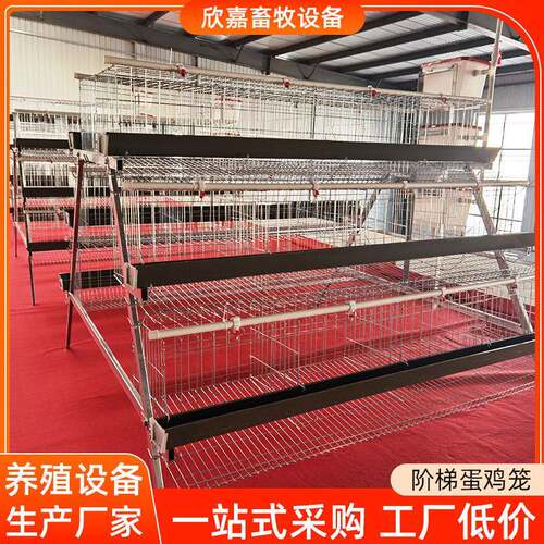 厂家加工阶梯式养殖蛋鸡笼加厚养殖场A字型三层四层多门养殖鸡笼