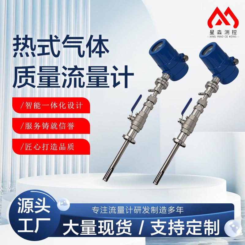 热式气体质量流量计氮气氩气空气管道插入式流量表质量数字化计量
