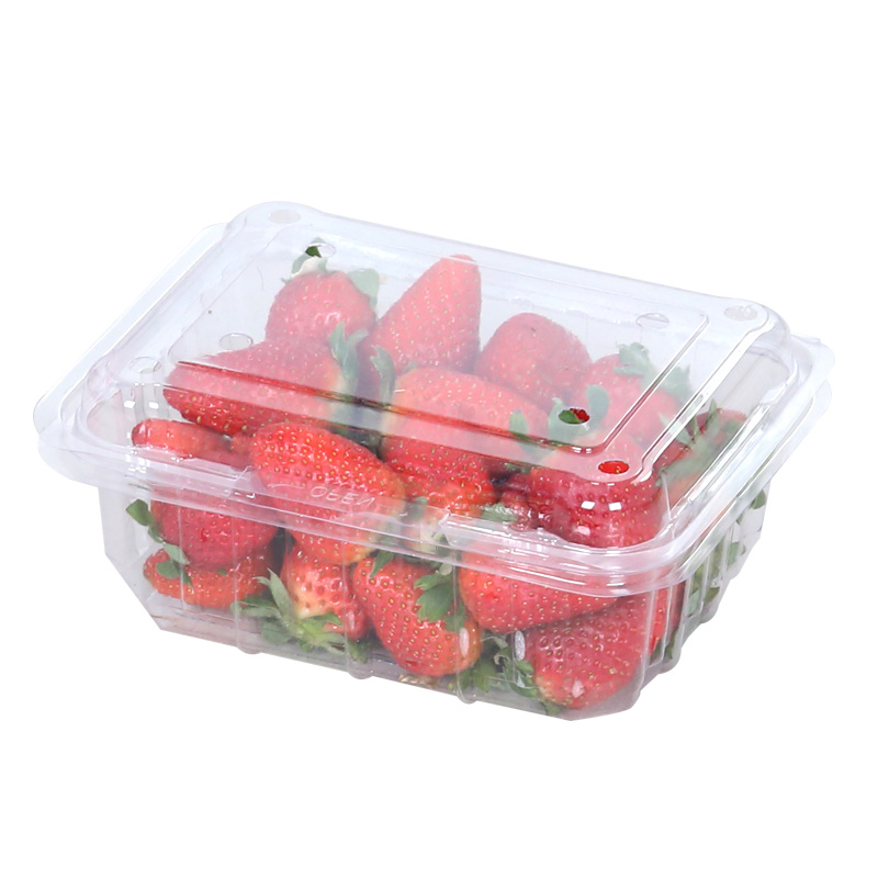 一次性塑料包装盒水果草莓保鲜果捞蔬菜盒有盖打包拼盘