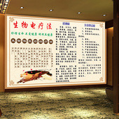 电疗法墙纸生物电控壁纸中医馆理疗养生经络宣传展板背景墙壁画
