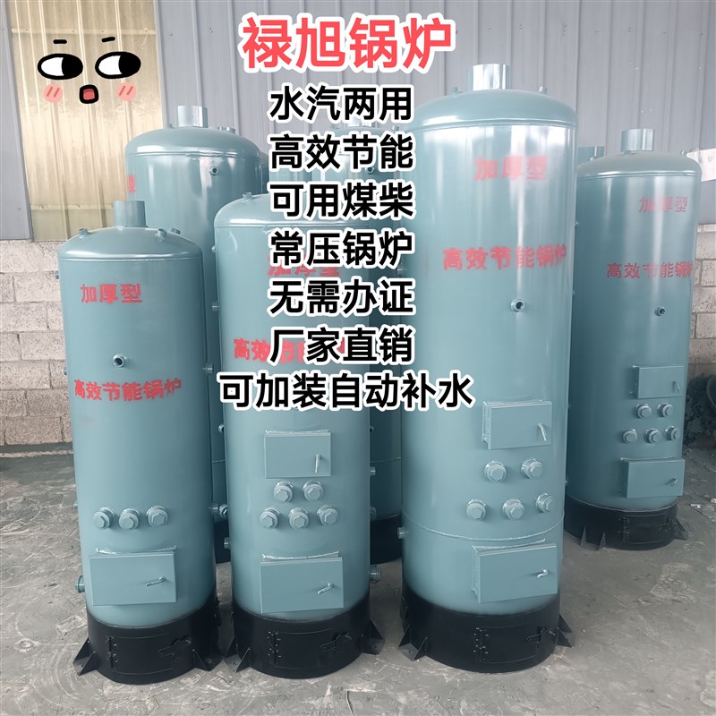 水汽两用锅炉烧柴燃煤农村家用供暖炉取暖蒸汽锅炉养殖酿酒锅炉