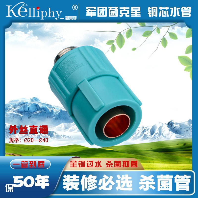 【外丝直通】紫铜水管 杀菌水管 进口PPR水管 高端水管 装修水管