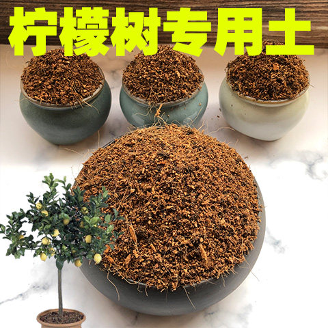 柠檬树土柠檬树专用盆栽土家用阳台营养土酸性沙质土绿植种植肥料图片