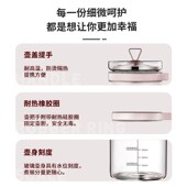 燕窝专用炖盅玻璃单人隔水电炖锅家用迷你鱼胶花胶小桃养生壶花茶