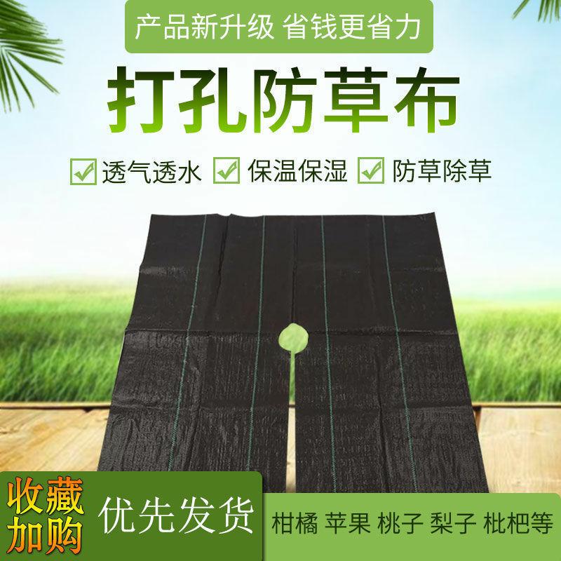 农用防草布除草布果园果树地膜单张打孔防晒老化遮盖草耐用地布钉