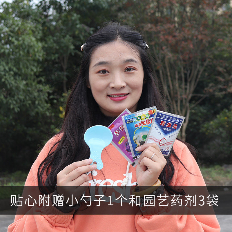 羊粪蛋发酵有机肥颗粒缓释肥蔬菜花卉果树盆栽通用型种菜养花肥料,鲜花速递/花卉仿真/绿植园艺,介质/营养土,淘宝优惠券,粉丝福利购,淘宝优惠卷