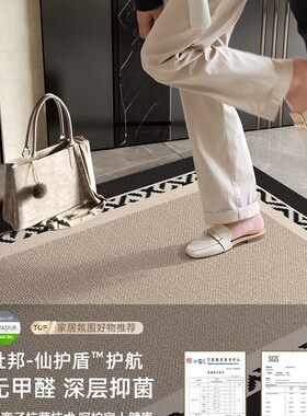 新款入户门地垫高级门垫进门地毯大门口玄关防滑脚垫免洗可擦门垫