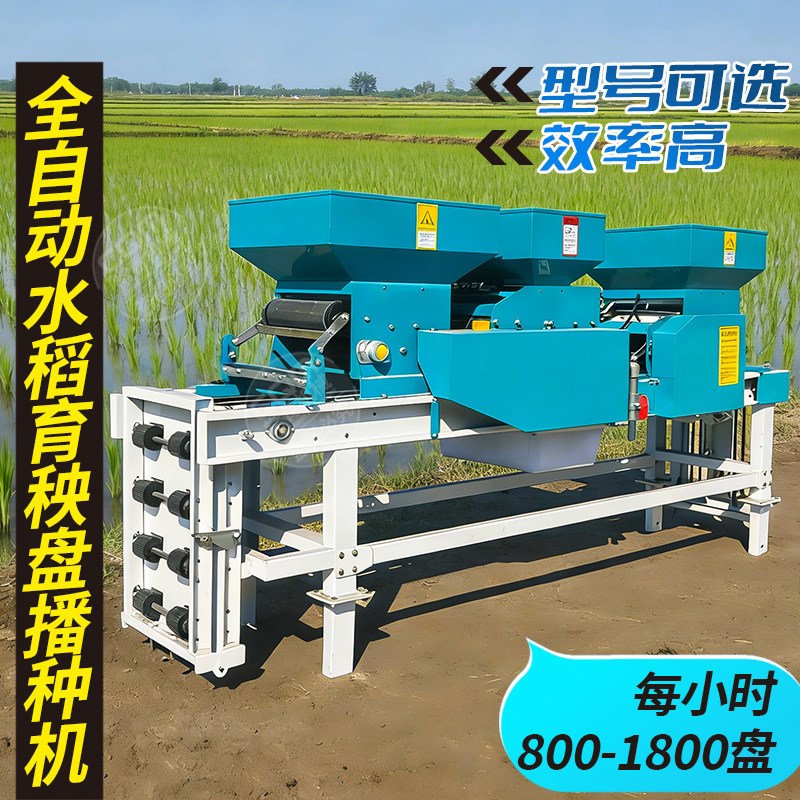 全自动水稻育秧盘播种机稻谷育苗穴盘播种机流水线电动水稻育秧机