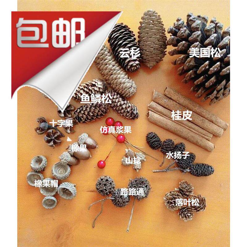松果松塔套装手工制作材料创意天然摆件干花包果实装饰干树枝