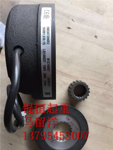进口葫芦刹车盘，刹车线圈，制动器，NM38***NR2系列提升机法国是