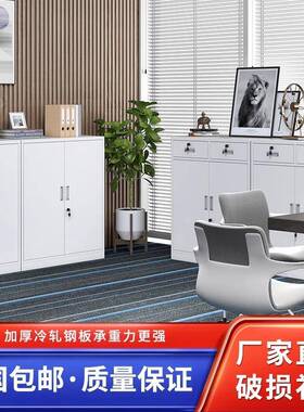 防锈件钢制二斗矮柜文柜带锁屉式矮铁无品牌/皮抽办公室资料档案