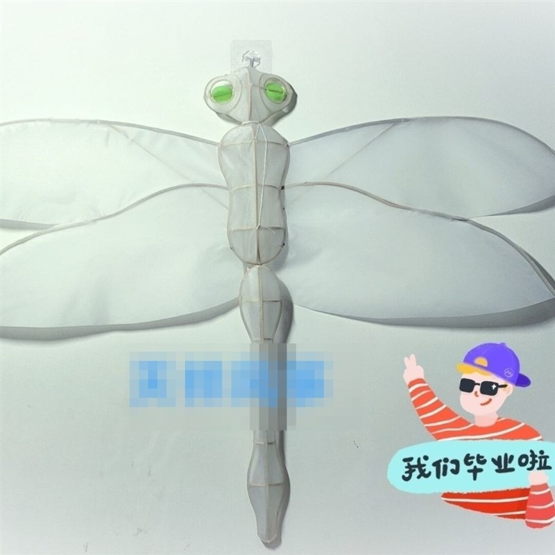 diy新款立体手工风筝骨架空白蜻蜓教学绘画个性创意风筝diy