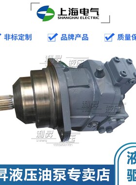 上海电气插装式柱塞泵A6VE28/55/80/107/160/250EP2D/63W变量马达