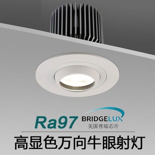 85mm开孔高显色LED射灯商业店铺大功率牛眼灯105开孔天花孔灯