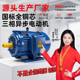YE3三相异步马达11KW/15/18.5/22/37/45/55/75千瓦380V纯铜电机