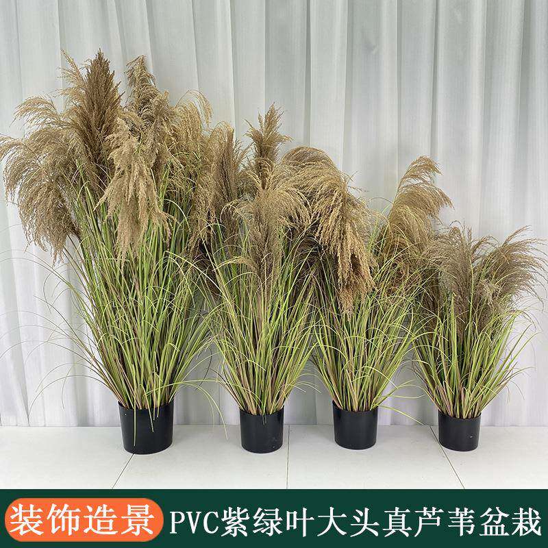 合造景干头花大芦苇草叶仿植物假绿组植大型真盆栽装24069饰假盆