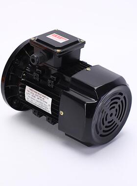 YS7BTX124370大法兰式立电机污W水泵电机