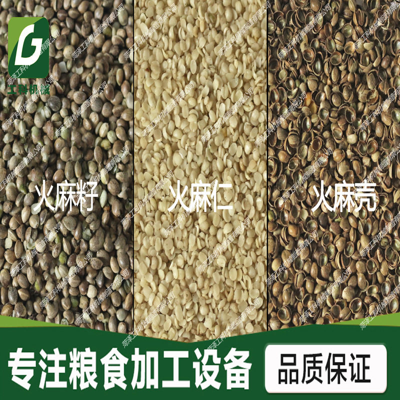 新款火麻籽脱皮机,工业亚麻籽脱壳机 麻籽脱壳机