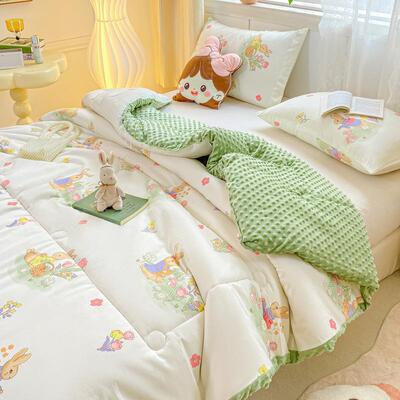 23园款田厚风豆豆绒被子大231025豆纤维春人秋加保暖冬季单双被芯