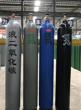40升15l10L食品级二氧化碳钢瓶二保焊扎啤机氧气瓶氮气瓶氩气小瓶