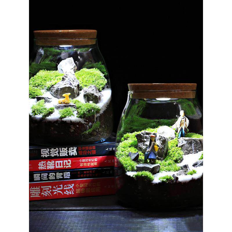 水滴带灯苔藓瓶 绿植物微景观生态瓶室内桌面趣味微型创意DIY盆栽
