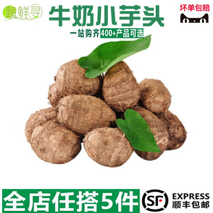 新鲜芋头农家自种香糯粉糯营养健康蔬菜