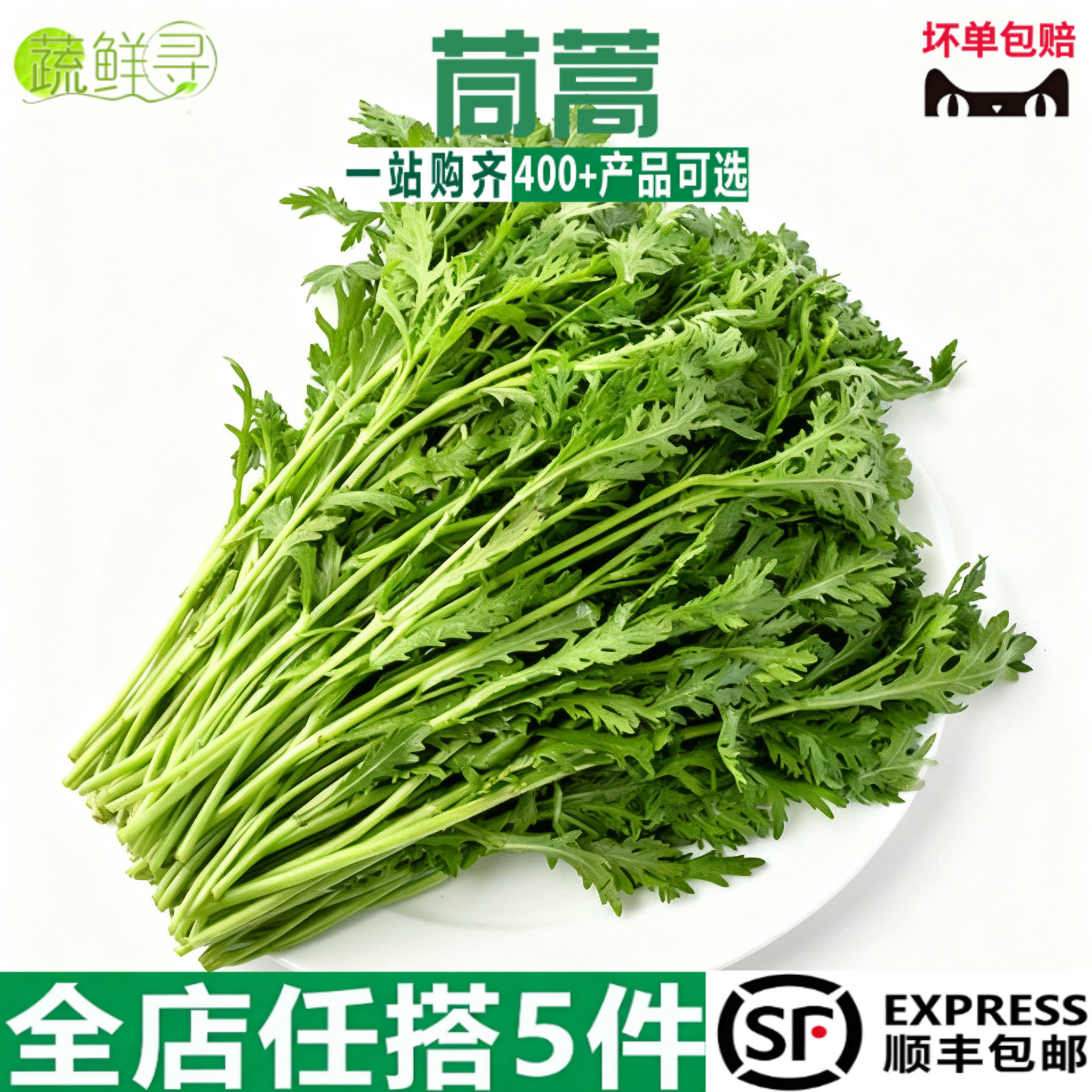 新鲜蔬菜新鲜茼蒿蓬蒿菜 皇帝菜 新鲜蔬菜