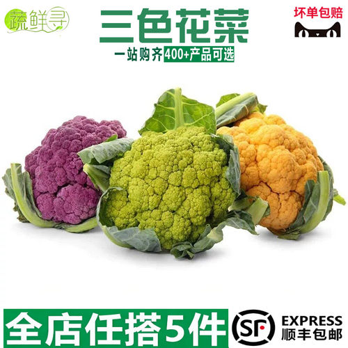 新鲜当季现采彩色花菜混色三色花菜紫花菜黄花菜绿花菜食用