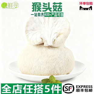 新鲜猴头菇农家自产猴头菌养胃食用菌汤土特产大个猴头菇