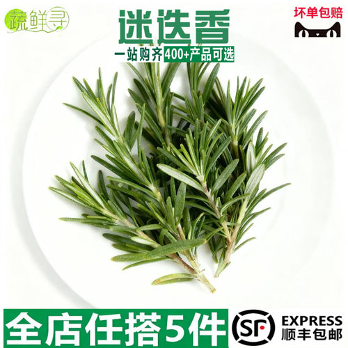 新鲜迷迭香牛排用食用香料西餐食材调味烘焙蛋糕装饰摆盘迷失香