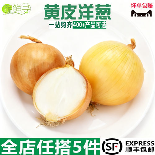 山东黄皮洋葱新鲜大洋葱头白心圆葱农家自种蔬菜整箱毛葱