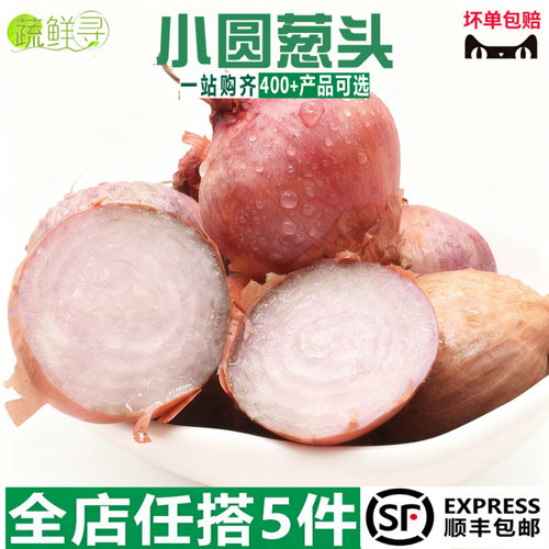 新鲜小洋葱葱头干葱头圆葱头西餐香料珍珠洋葱