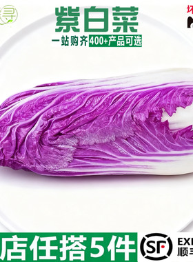 新鲜紫白菜红白菜食一颗包邮用紫色包菜韩国紫色白菜蔬菜沙拉