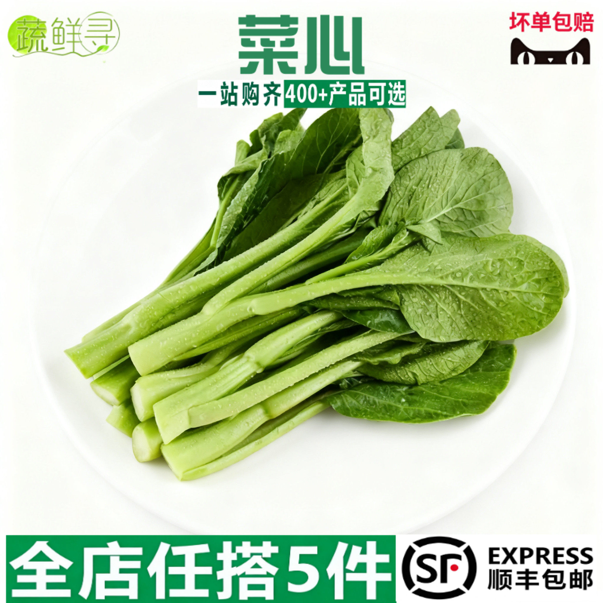 新鲜广东菜心 时令绿色蔬菜农家甜菜心菜薹新鲜蔬菜